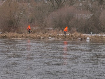 Fot.4. Wycinka zadrzewień i zakrzaczeń na brzegu Pilicy., 