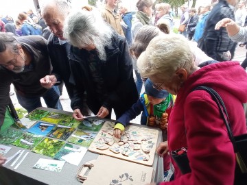 45. Święto Kwiatów, Owoców i Warzyw - relacja, 