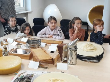 Bądź eco - dbaj o pszczoły, 
