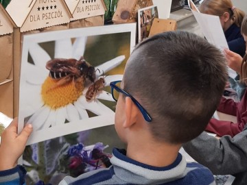 Bądź eco - dbaj o pszczoły, 