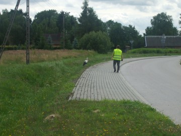Marysia,Zosia i Bartek, S.Pytliński
