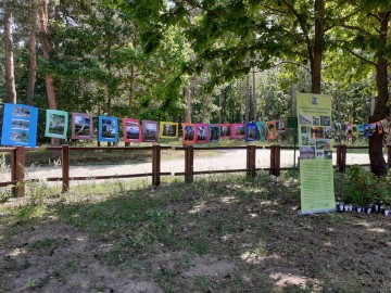 Podsumowanie projektu 