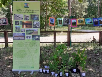 Podsumowanie projektu 