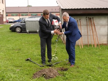Powstają kolejne..., fot.archiwum Bolimowskiego Parku Krajobrazowego