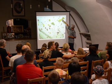 Relacja z nocnego świecenia w Nieborowie, K.Pira