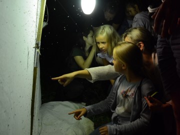 Relacja z nocnego świecenia w Nieborowie, K.Pira
