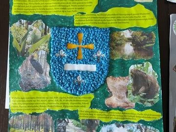 Wyniki konkursu 