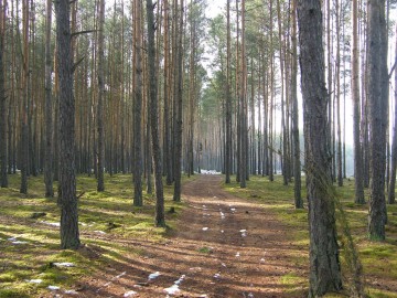 dscf7676, 