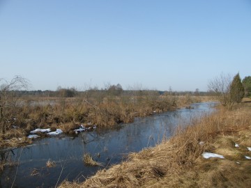 dscf7709, 