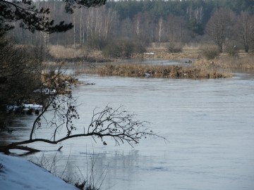 dscf7772, 