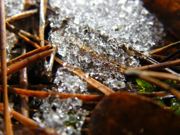 dscf7787, 