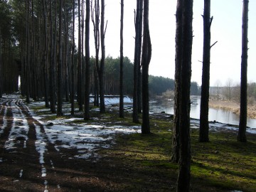 dscf7793, 