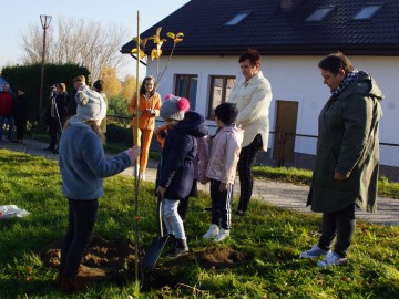 Owoce Pamięci PPK, 