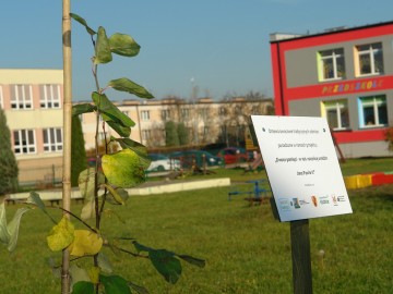Owoce Pamięci PPK, 