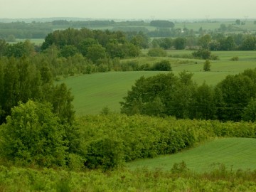 Plichtów
