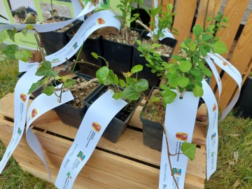 Majówka w Ogrodzie Botanicznym w Łodzi 2022 r., 