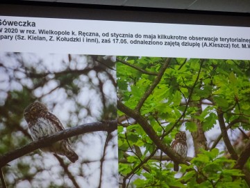 Zjazd ornitologów Ziemi Łódzkiej, 