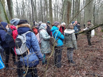 Edukacyjny zimowy spacer po Lesie Łagiewnickim 2024, 