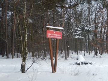 Zachęcamy do spacerów na łonie przyrody - nawet gdy spadnie pierwszy śnieg, 