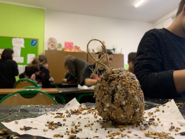 Jak dokarmiać ptaki - relacja z warsztatów, 