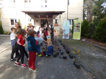  Dzień Drzewa 2018 - sadzonki drzew i krzewów w ramach projektu 100 tys. drzew na 100lecie Województwa Łódzkiego, 