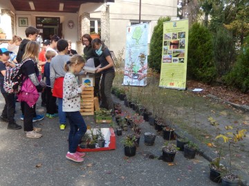  Dzień Drzewa 2018 - sadzonki drzew i krzewów w ramach projektu 100 tys. drzew na 100lecie Województwa Łódzkiego, 