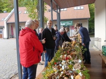 Grzyby ukryte piekno mikroorganizmów, M. Majda
