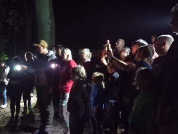 Noc nietoperzy w Lesie Łagiewnickim 2023, 