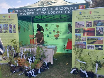 Piknik Województwa Łódzkiego w Woli Zbrożkowej, <p>fot. J. Kacprzak</p>