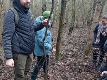 Wiosenny spacer mykologiczny po Lesie Łagiewnickim - kisielnica trzoneczkowa, 