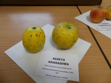 Szkolenie sadownicze, fot. M. Majda