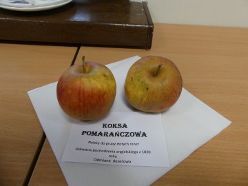 Szkolenie sadownicze, fot. M. Majda