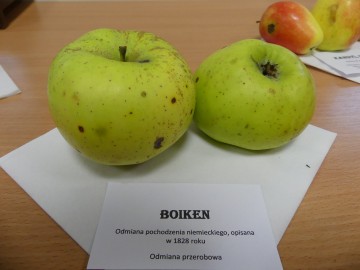 Szkolenie sadownicze, fot. M. Majda