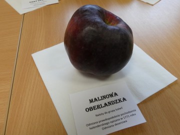 Szkolenie sadownicze, fot. M. Majda