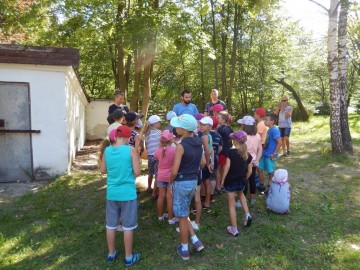 Wielki Dzień Pszczół 2018 w Lesie Łagiewnickim , fot. P. Bajerska