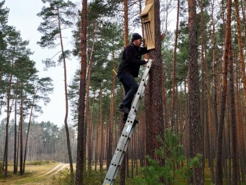 Nowe skrzynki dla nietoperzy oraz kosze dla uszatek w PKMWiW, 