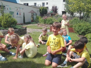 Wielki Dzień Pszczół w Sieradzkich Parkach Krajobrazowych, <p>K.Łężak</p>